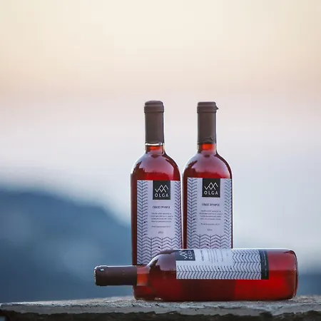 Hotel Olga Mourésion