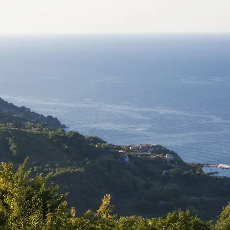 Olga Hotel Mourésion